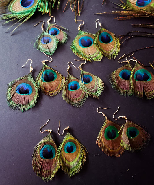 Peacock Feather Earrings